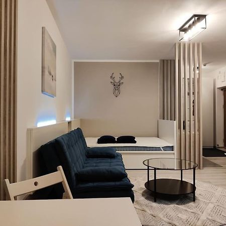Joy City Stay Vivalia V6A-41 Τιμισοάρα Εξωτερικό φωτογραφία