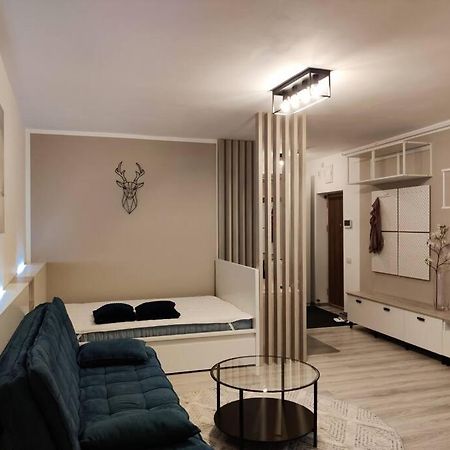 Joy City Stay Vivalia V6A-41 Τιμισοάρα Εξωτερικό φωτογραφία