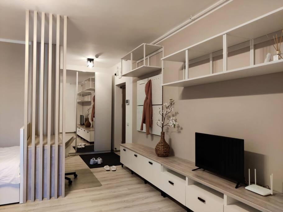 Joy City Stay Vivalia V6A-41 Τιμισοάρα Εξωτερικό φωτογραφία