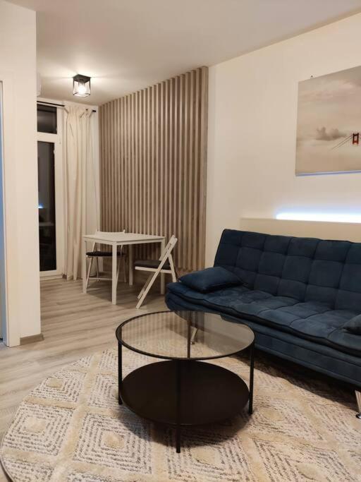Joy City Stay Vivalia V6A-41 Τιμισοάρα Εξωτερικό φωτογραφία