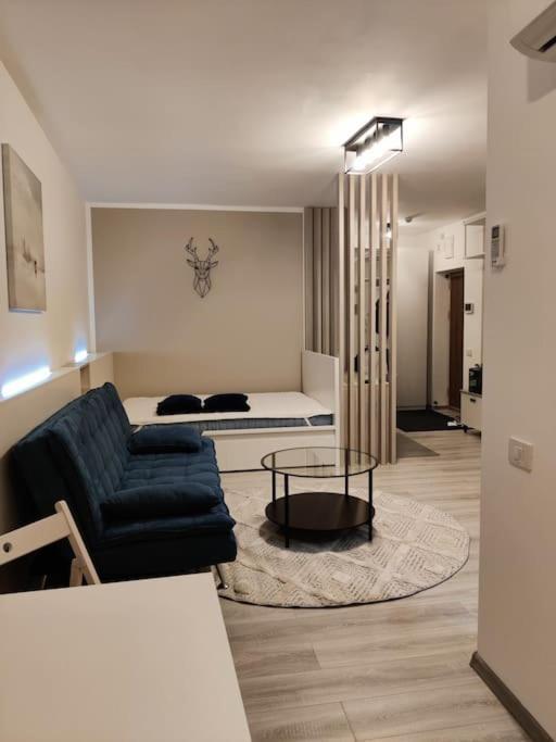 Joy City Stay Vivalia V6A-41 Τιμισοάρα Εξωτερικό φωτογραφία