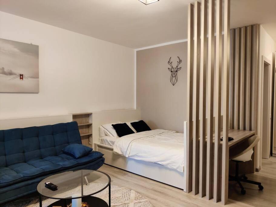 Joy City Stay Vivalia V6A-41 Τιμισοάρα Εξωτερικό φωτογραφία