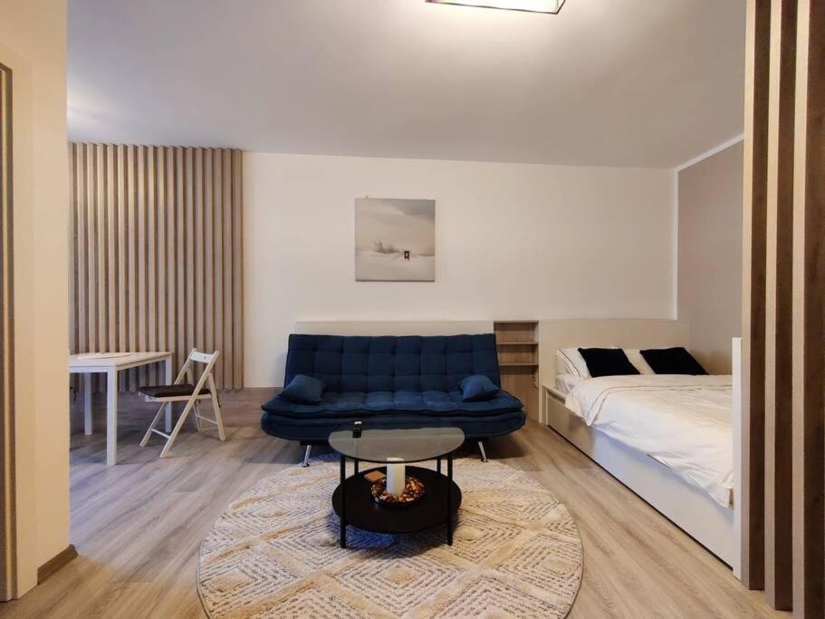 Joy City Stay Vivalia V6A-41 Τιμισοάρα Εξωτερικό φωτογραφία